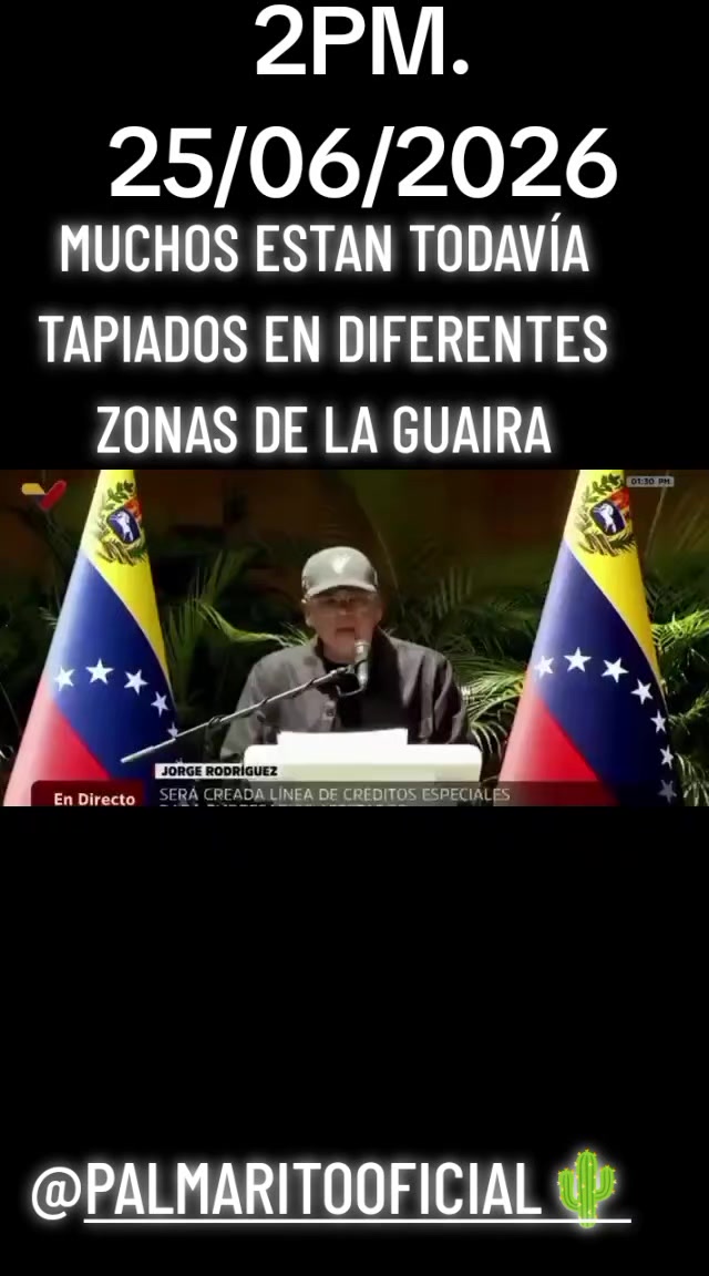 @PALMARITOOFICIAL 🌵