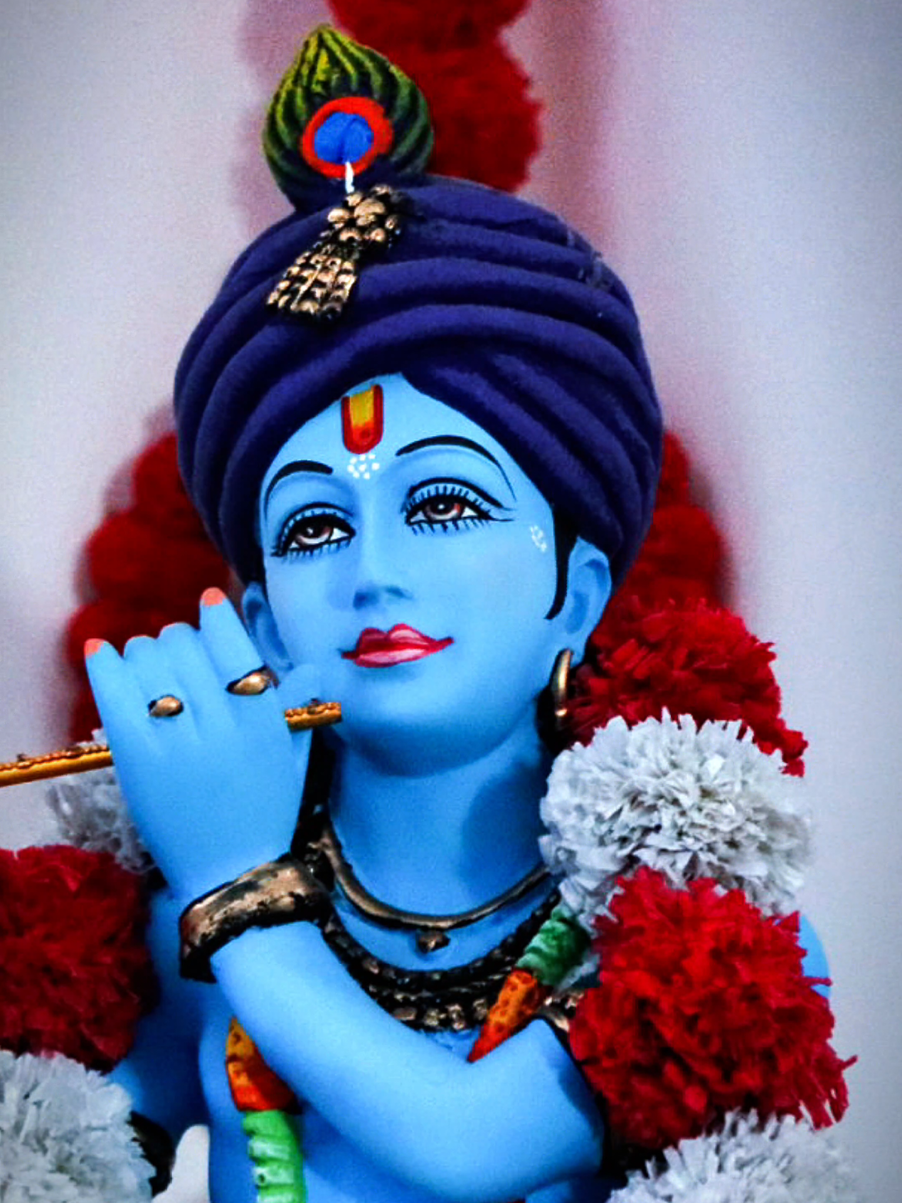 @Janesh Sharma
