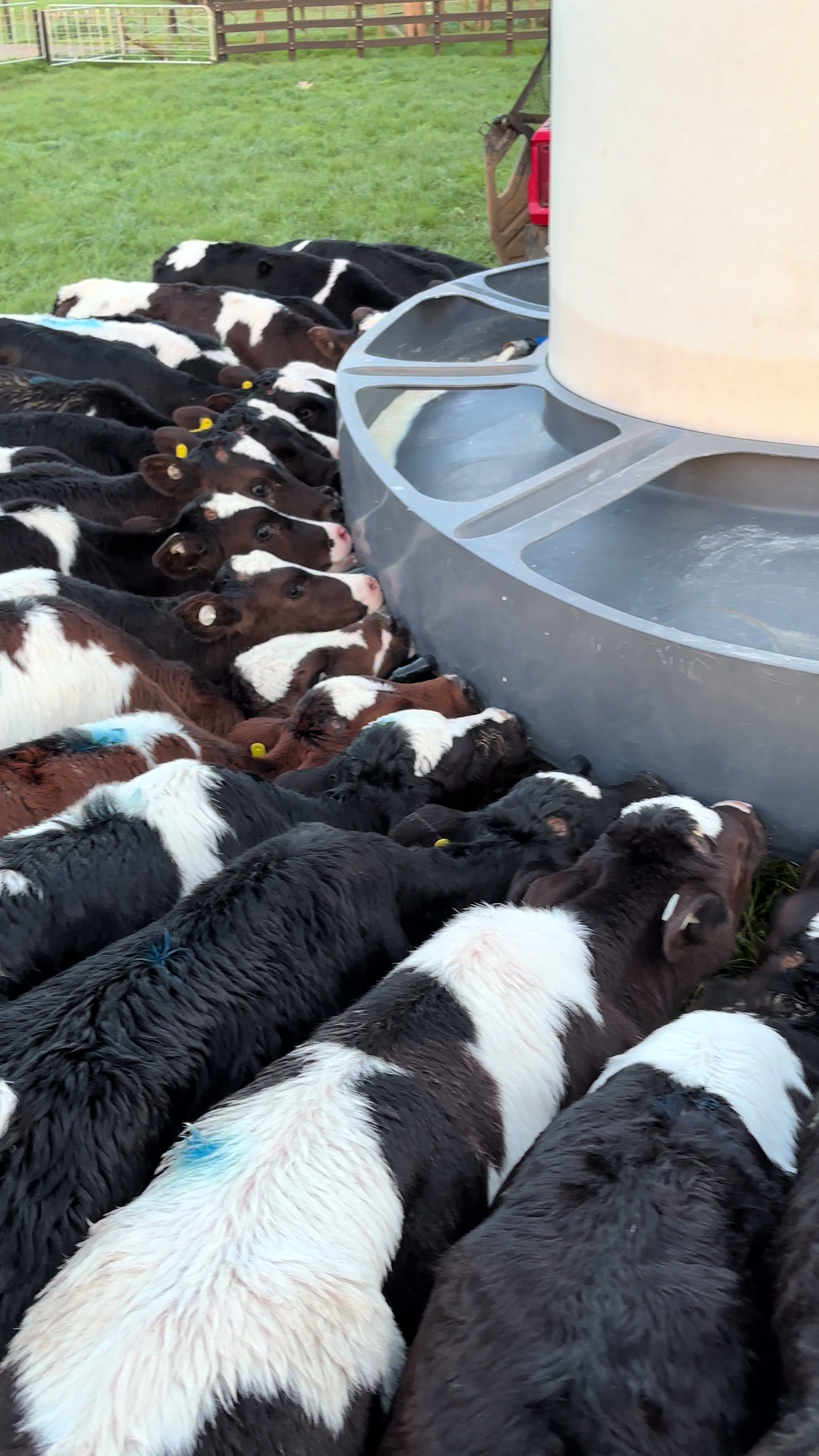 @Udderly