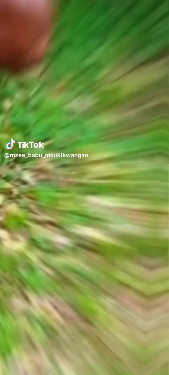 @mbixe