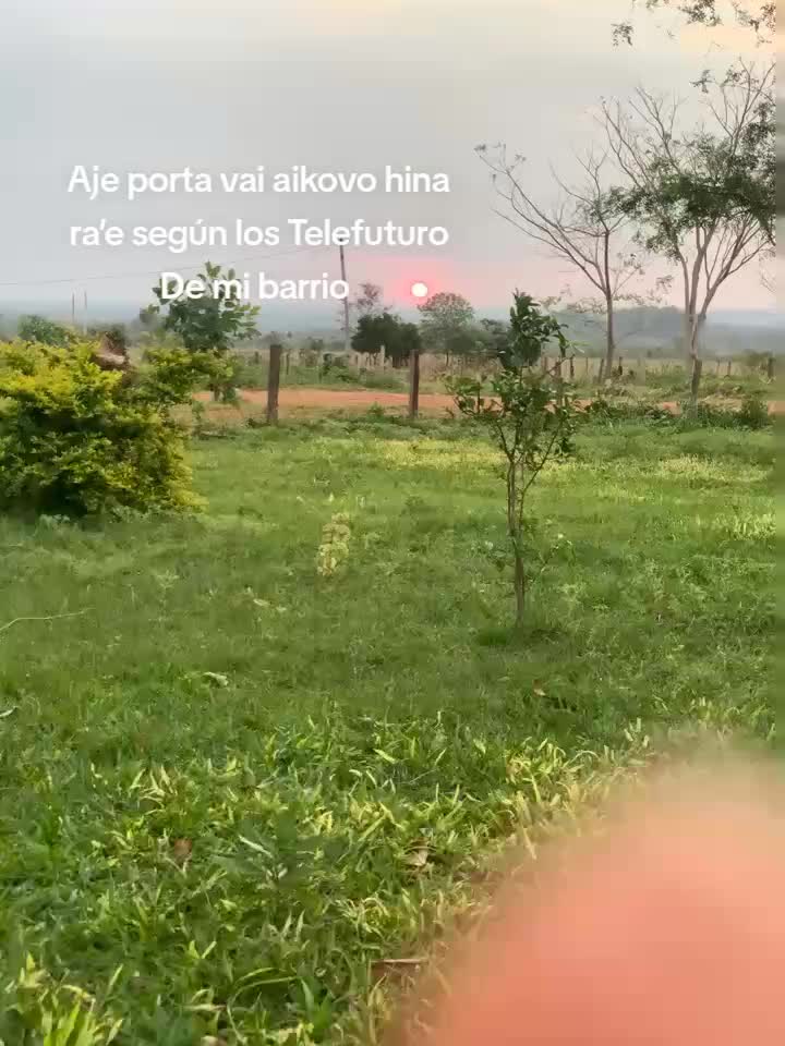 @Frases 🌹🥀