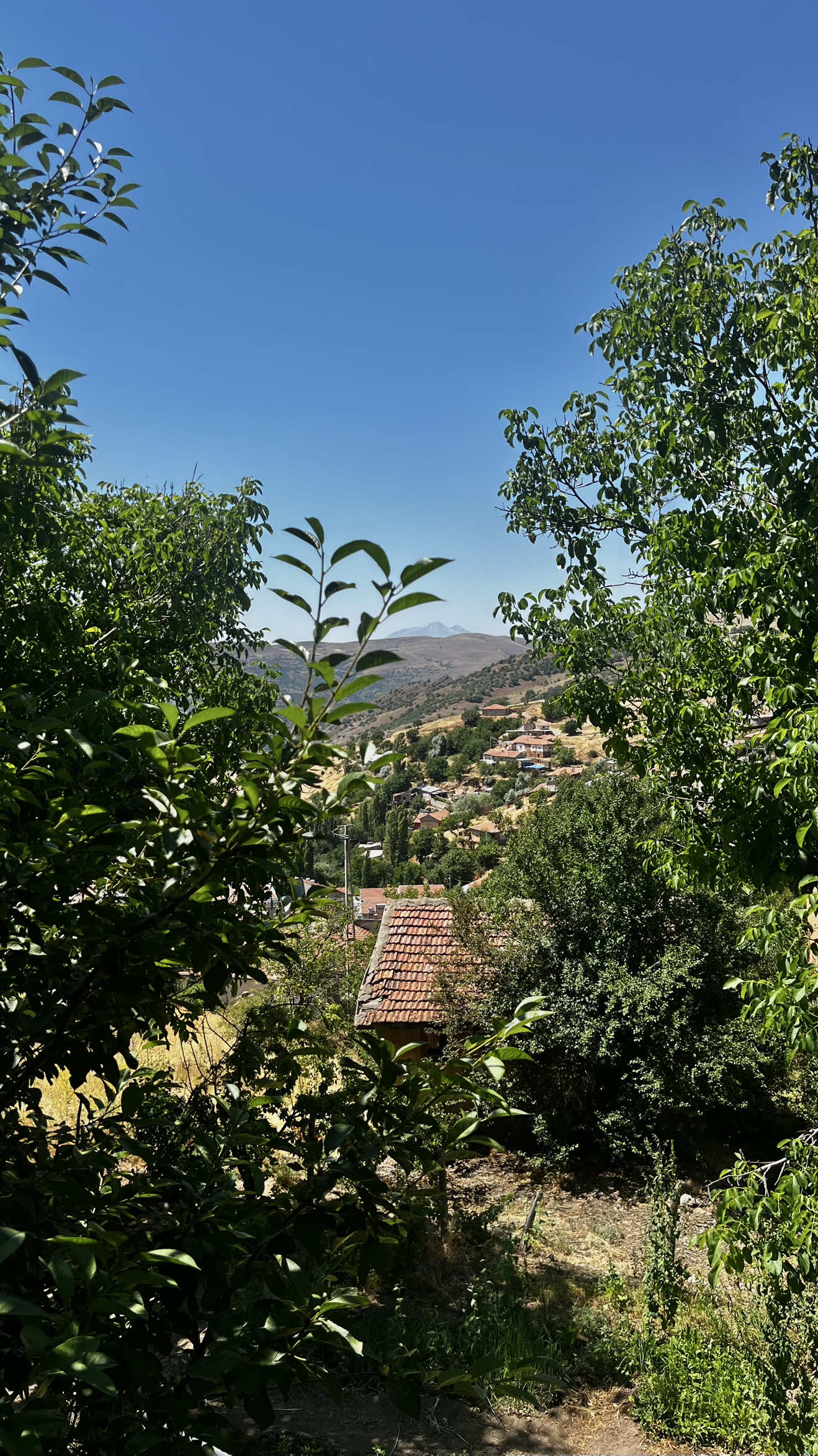 @𝒮𝐸𝒱𝒟𝐸ن𝒰𝑅