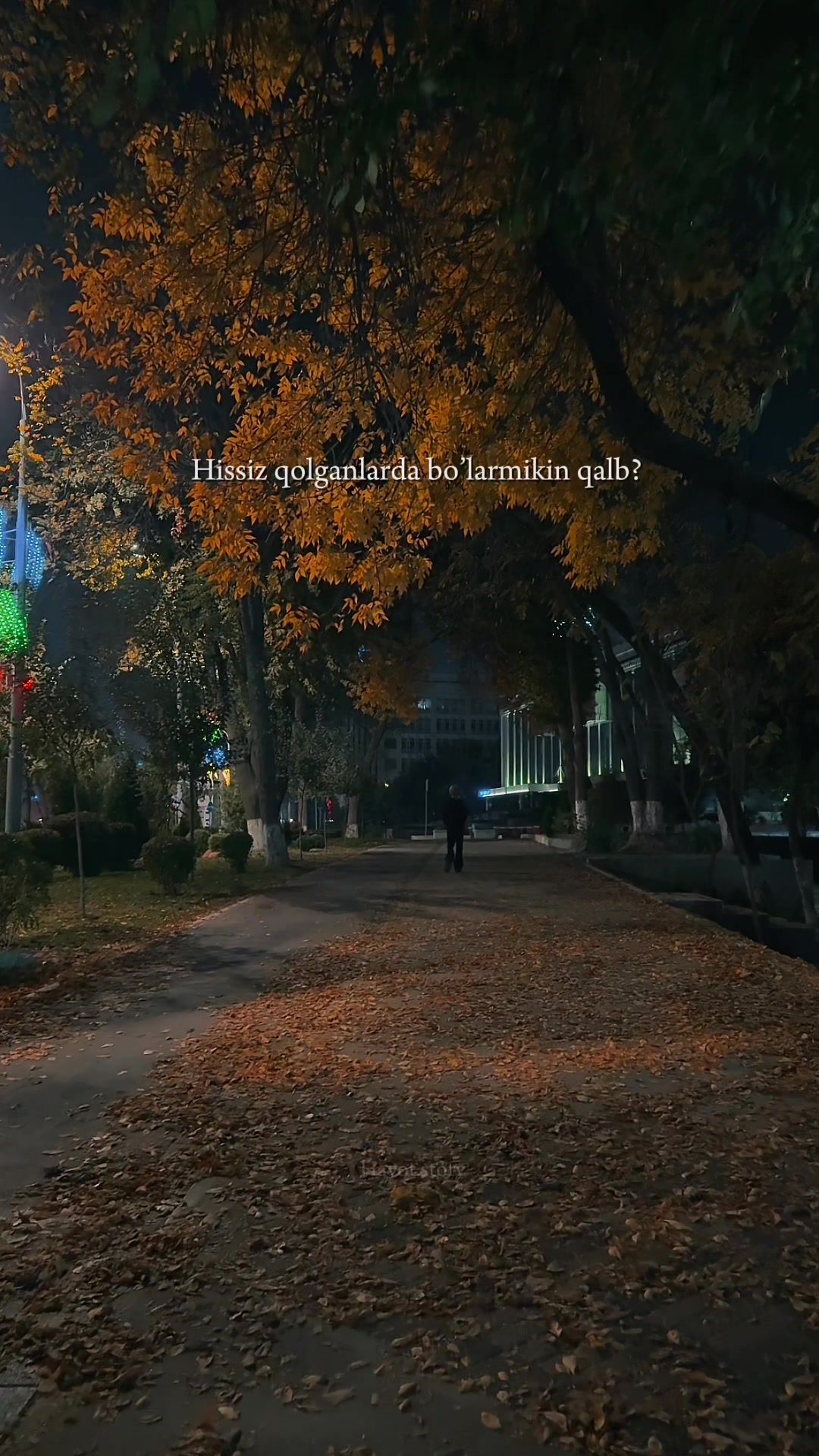 @Maftuna Nabiyeva