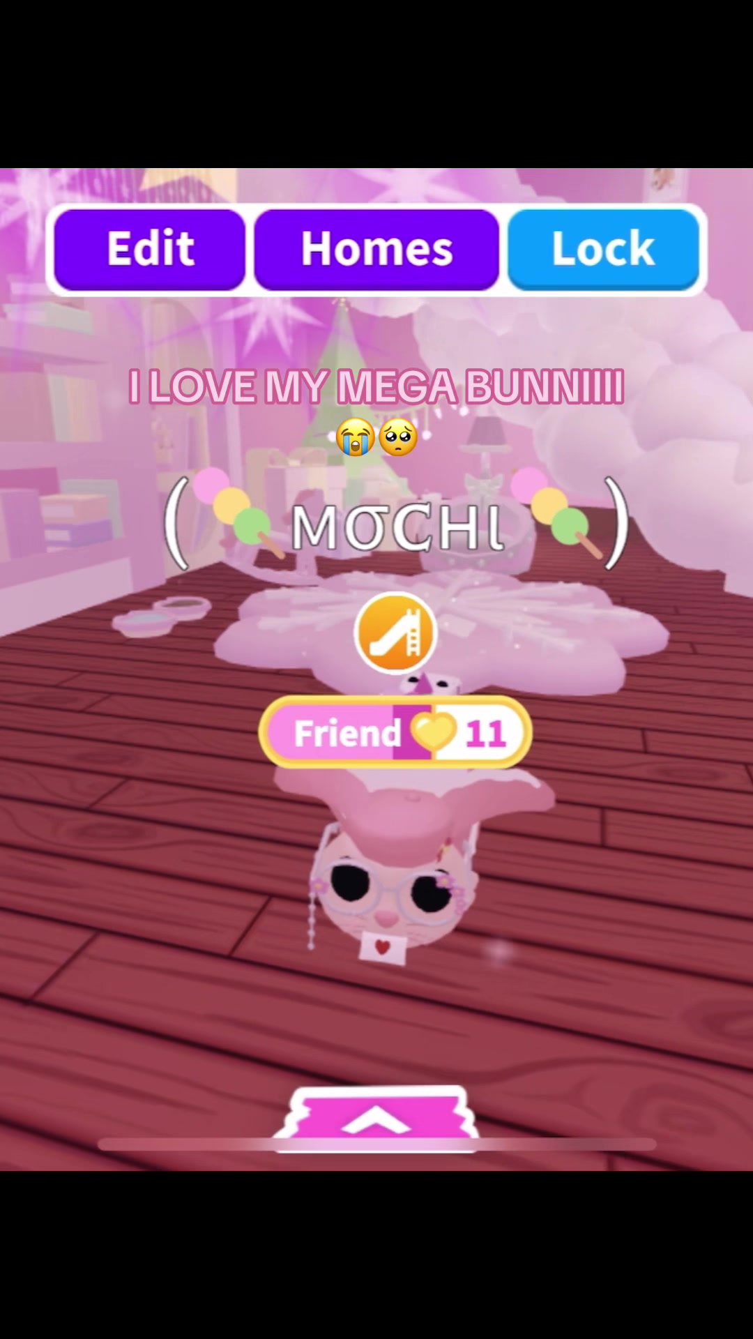 @/ᐠ > ˕ <マ ₊˚⊹♡