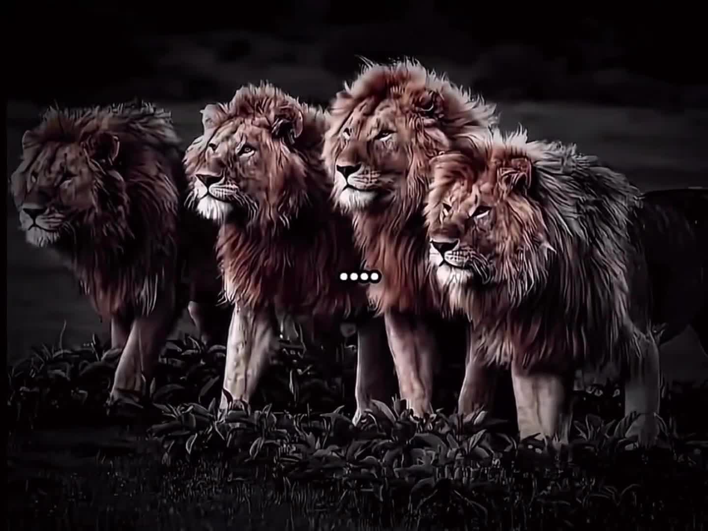 @✓ ✨ 👑 HUDAYOR_06 👑 ✨ ✓