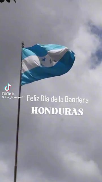@Kimberly Hernández🦁