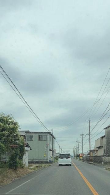 @達磨寅次郎