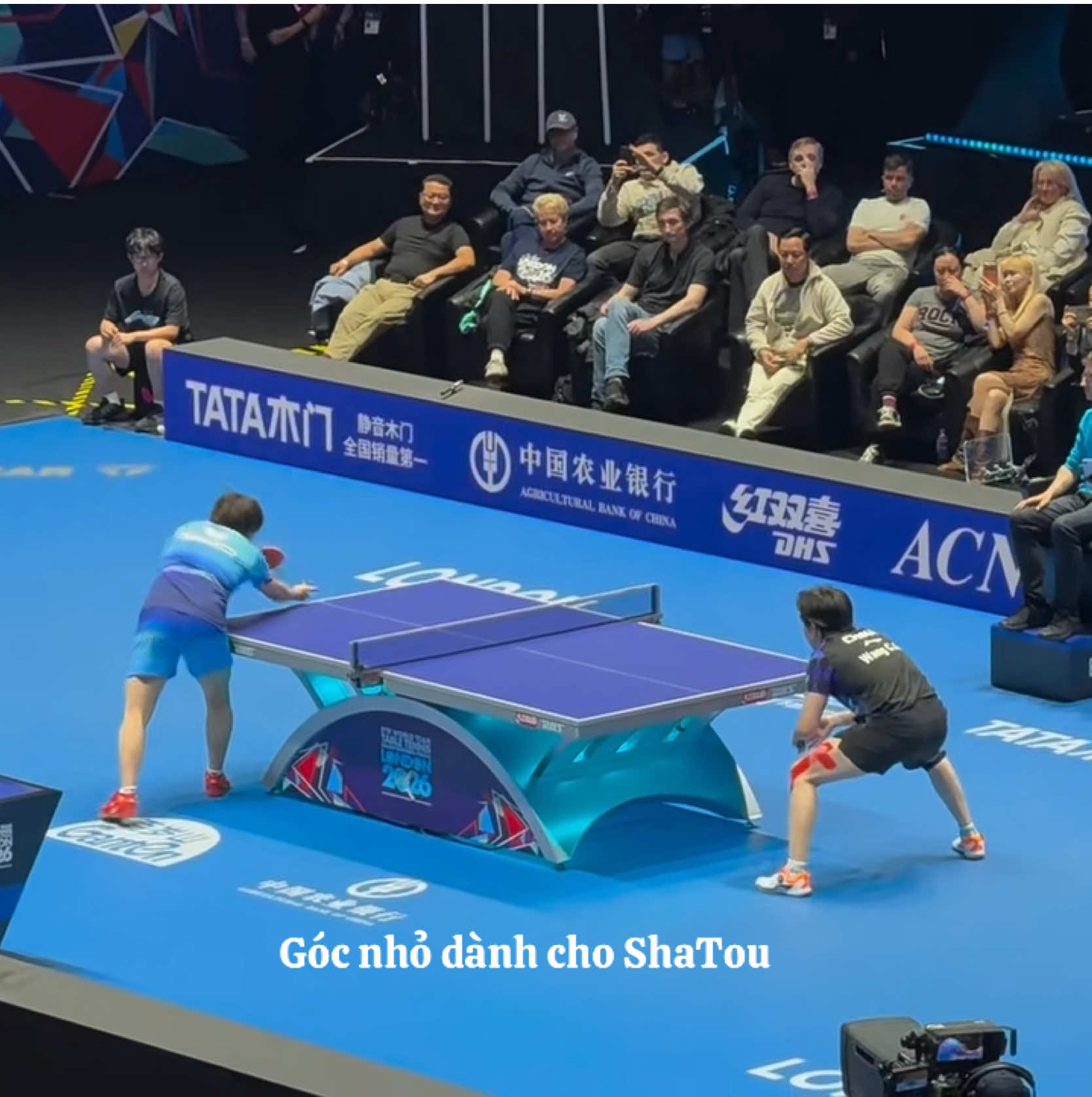@Acc n&agrave;y chỉ c&oacute; ShaTou🦁🦈❤️
