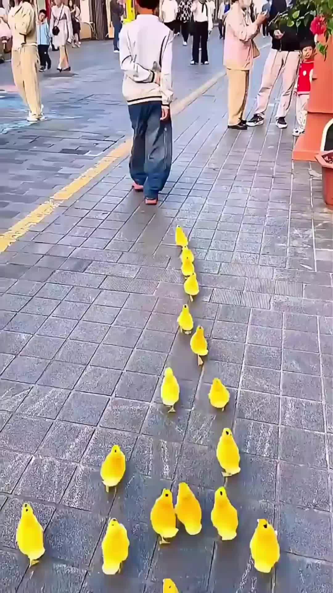 @crazy fact