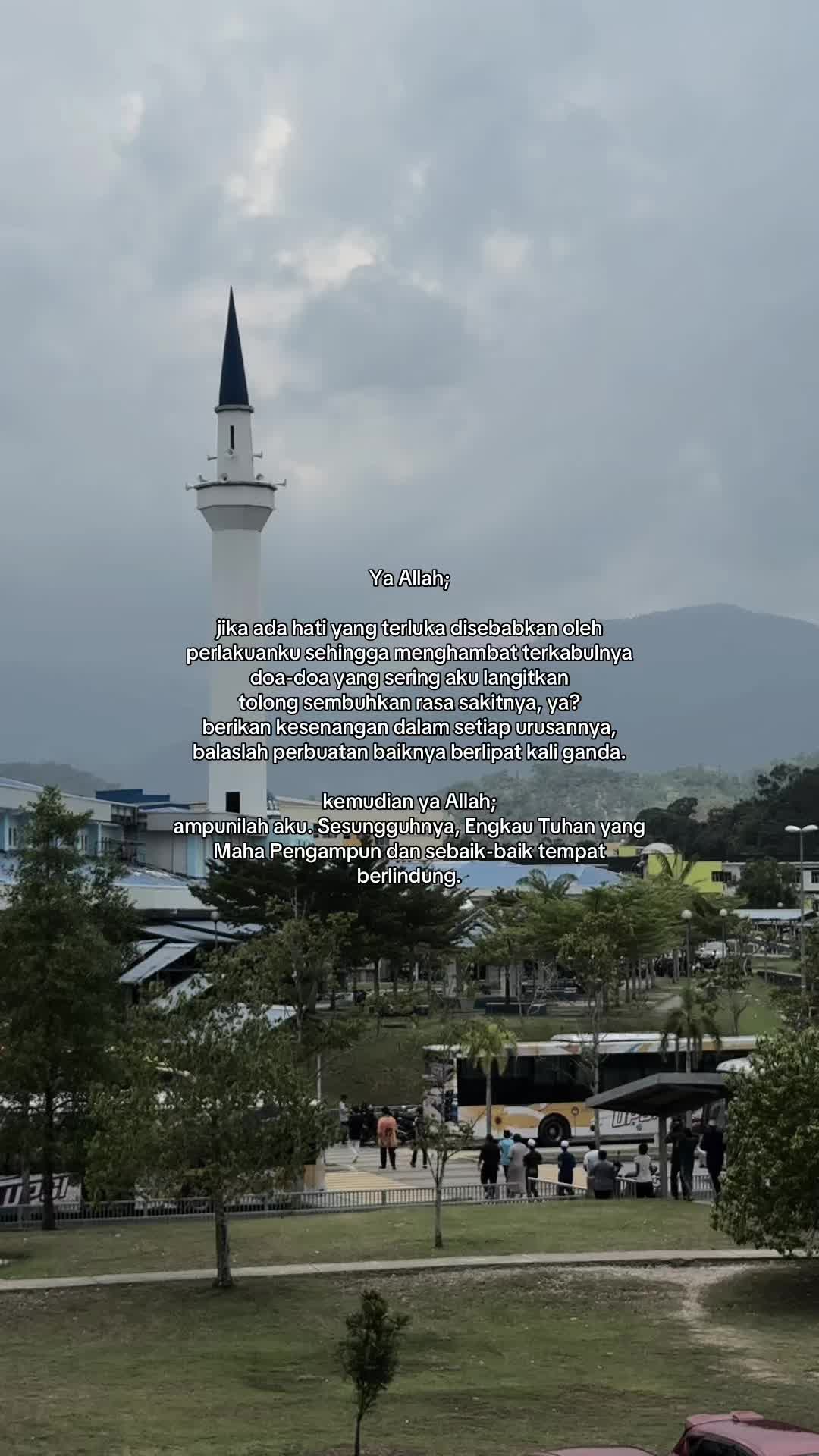 @﮼فى
