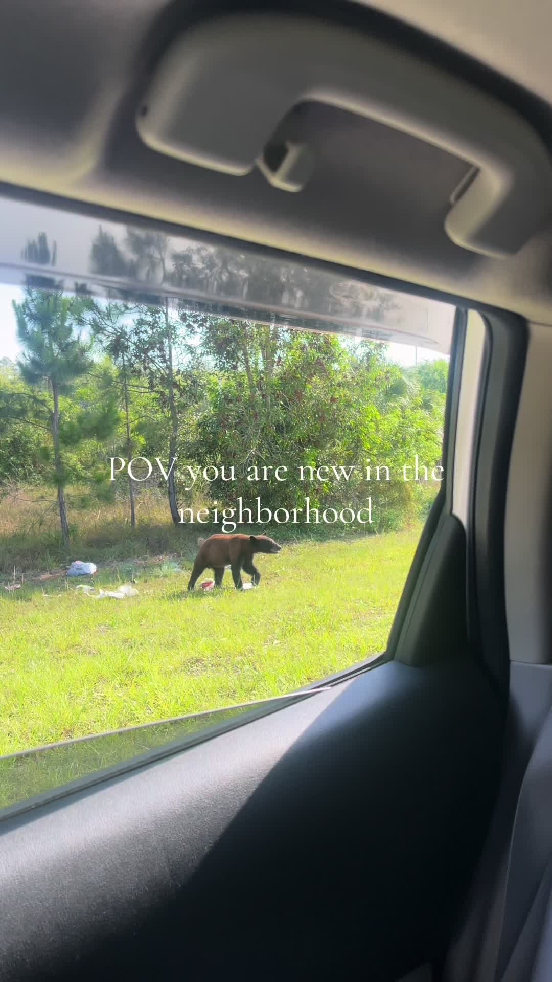 @Losgolden