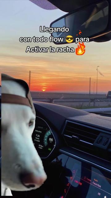 @❤️🔥𝙰𝙻𝙰𝙽ᵈᵉ𝚈𝙴𝙸🥵