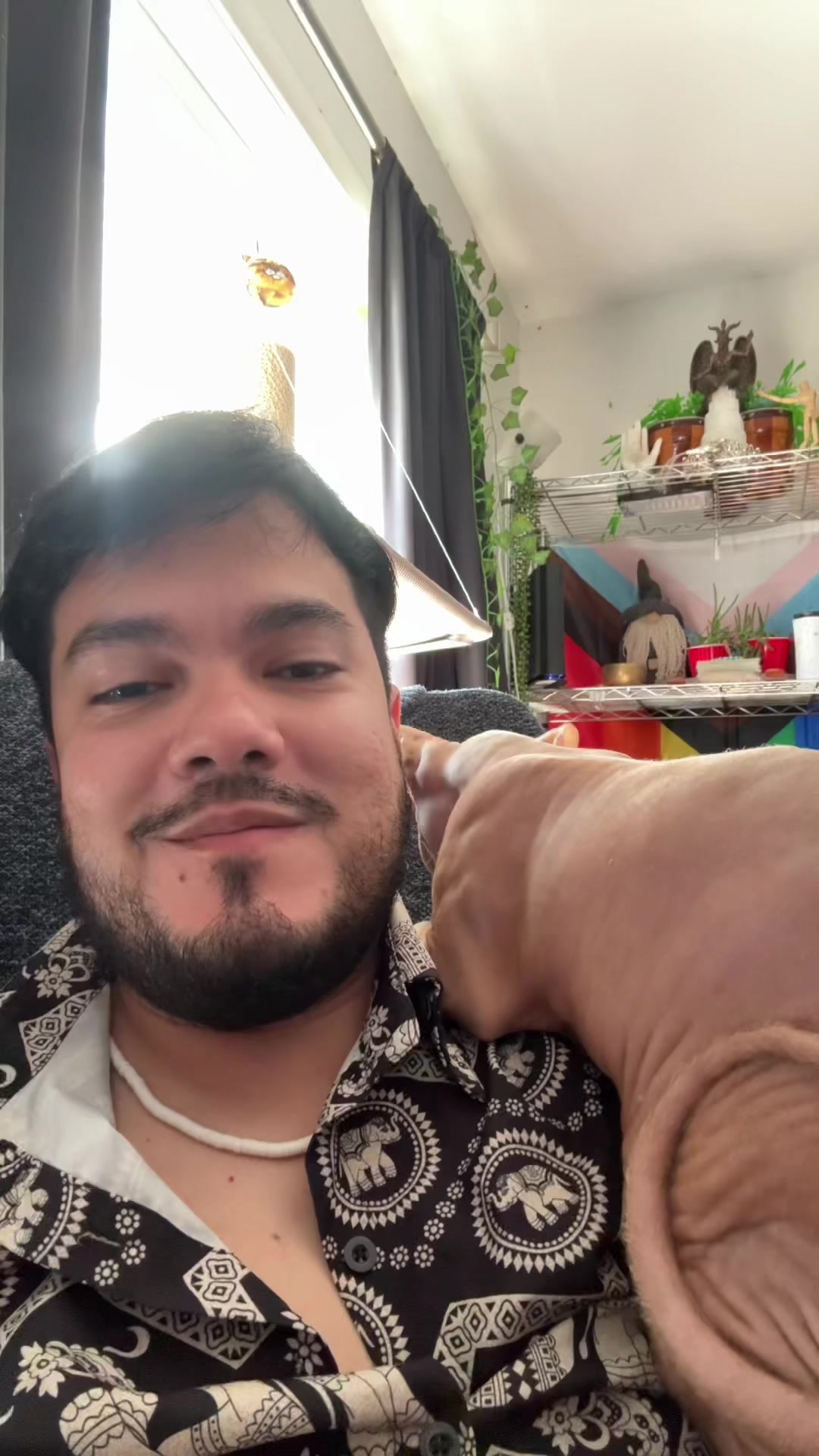 @Lukas Queridinhas 🏳️&zwj;🌈🏳️&zwj;⚧️