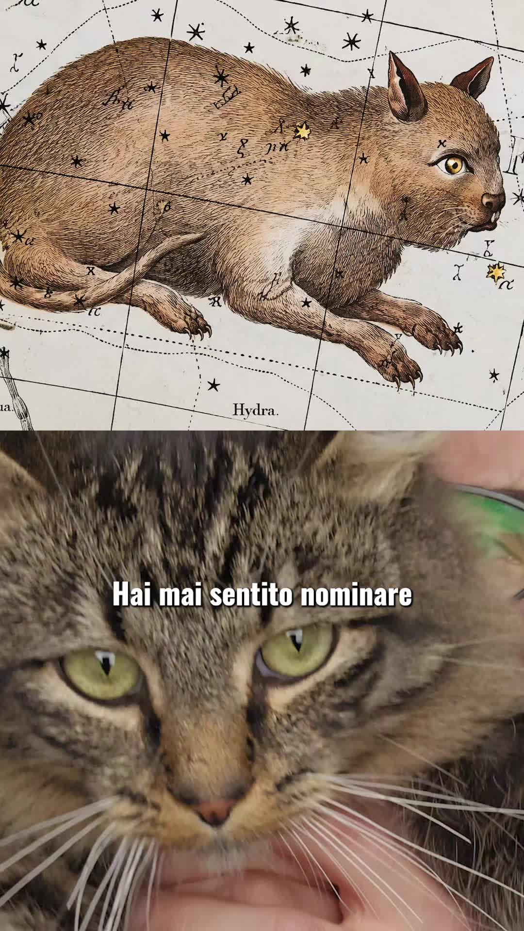 @Luca Nardi