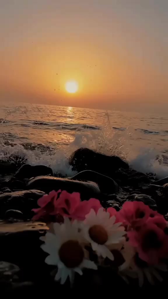 @❤️جمانه الرباط❤️