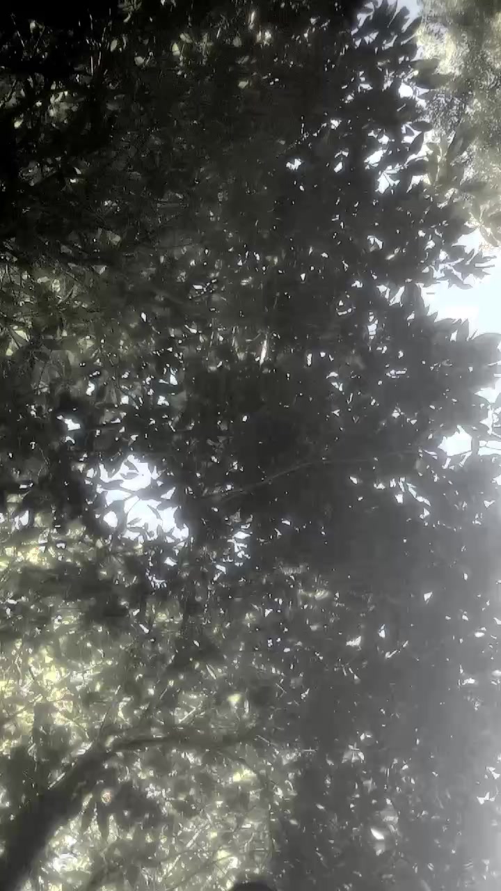 @অনিমা অনু