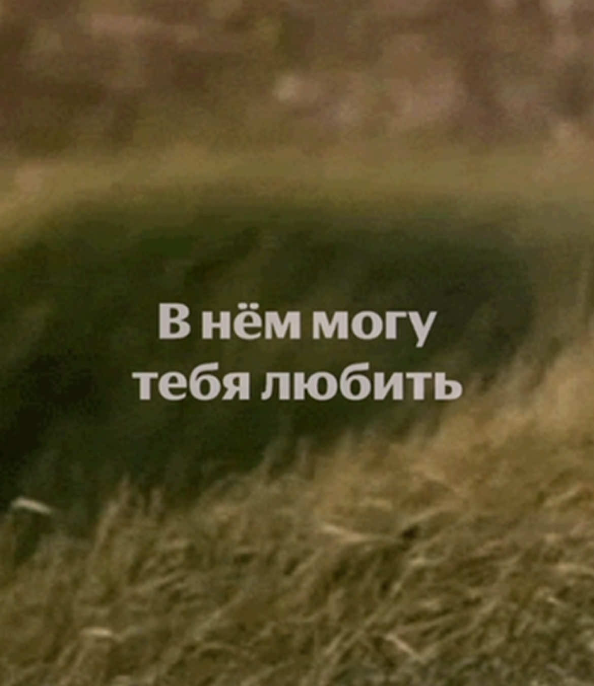 @лирика, но не таблы