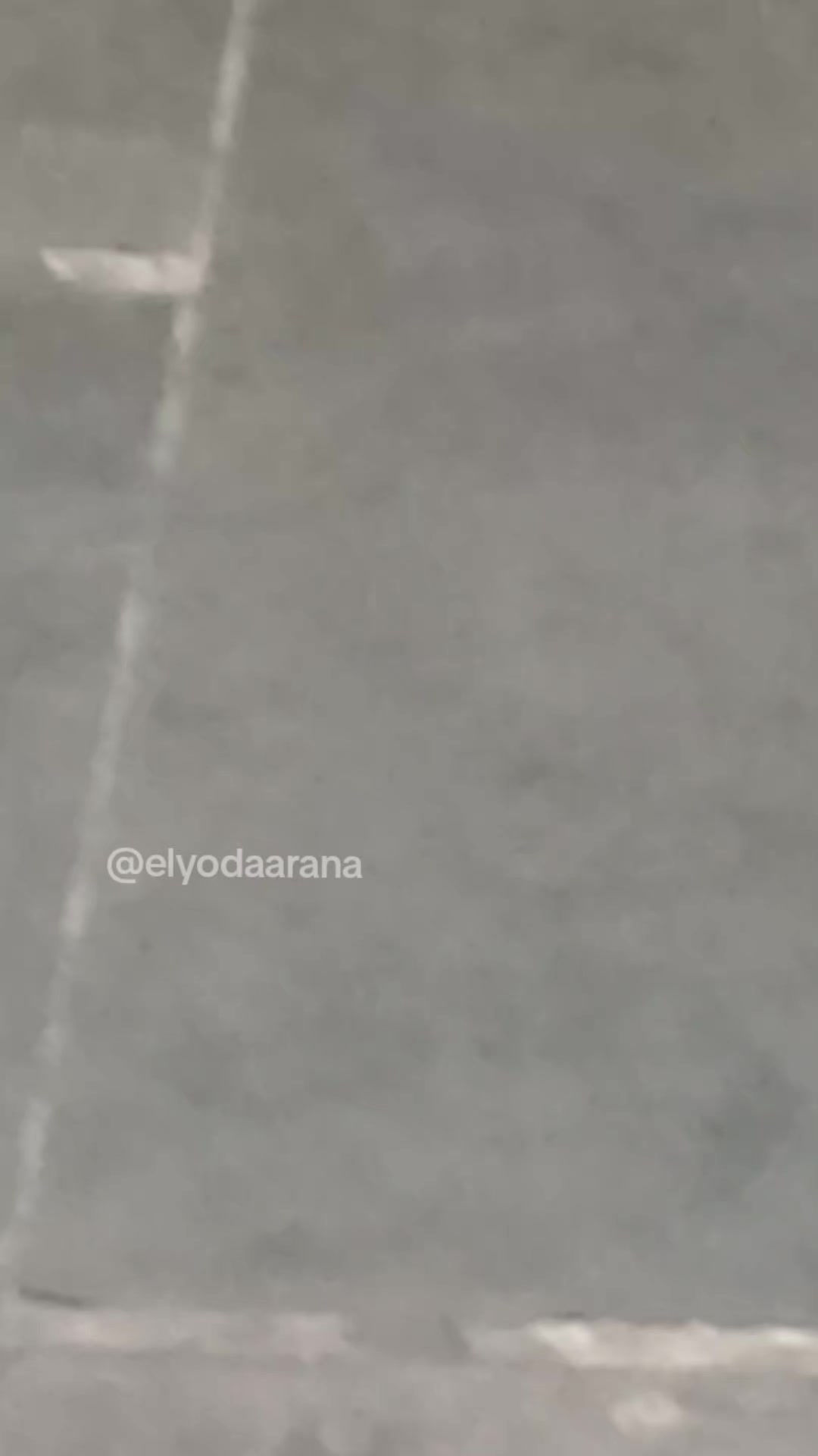 @Elyodaarana