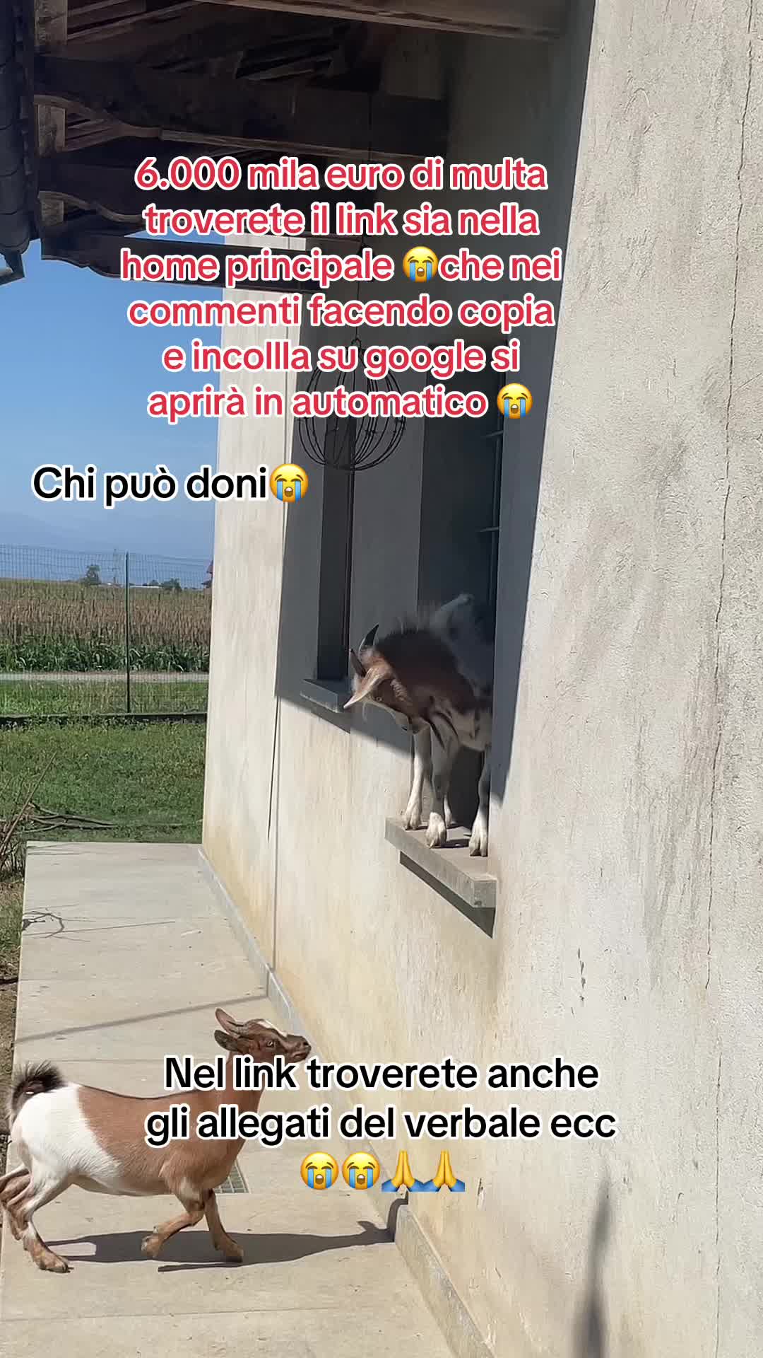 @KIRA❤️LEYLA💙