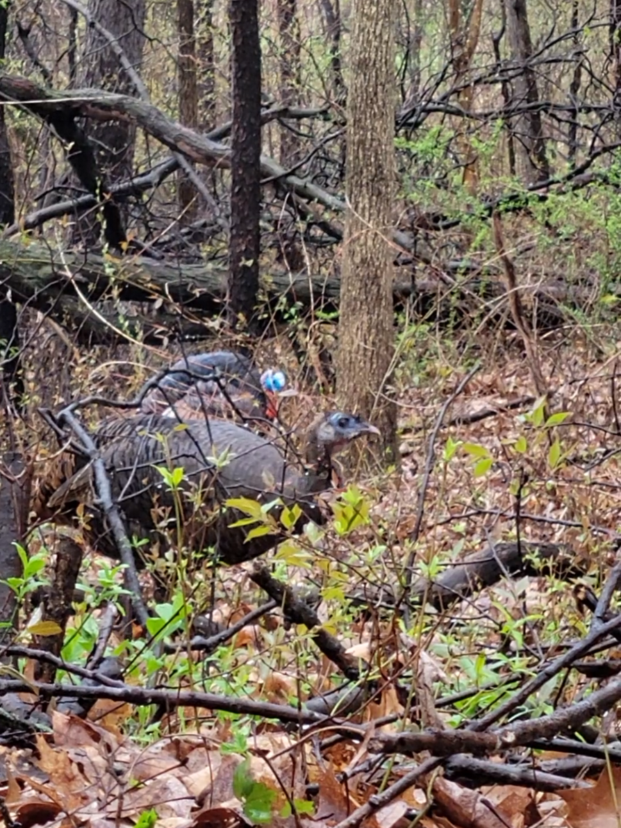 @Scott Hill Outdoors