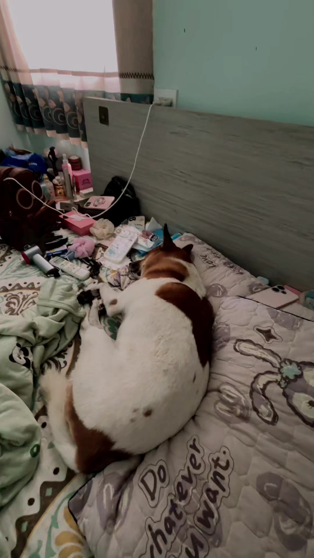 @Linky Hồ