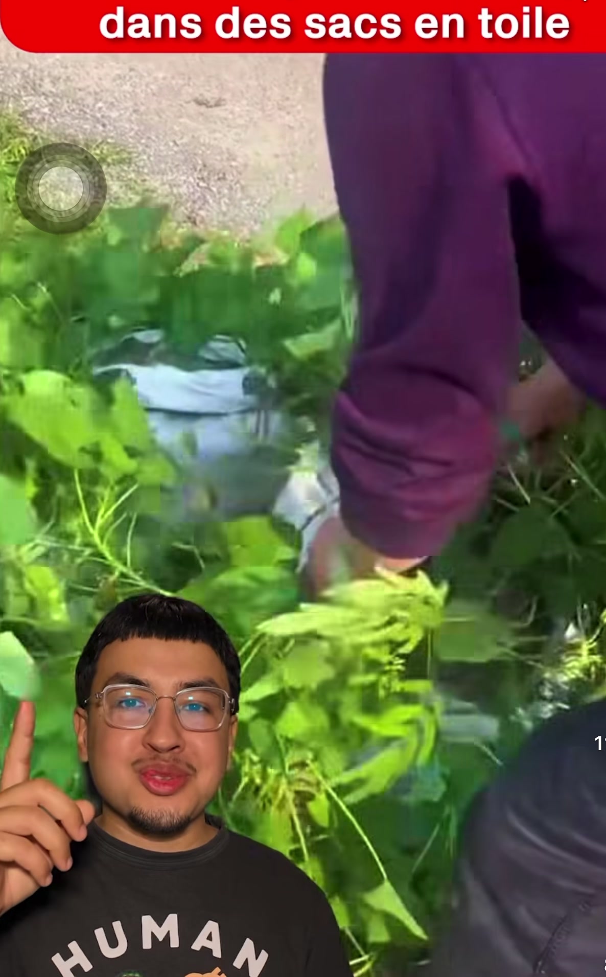 @vision50