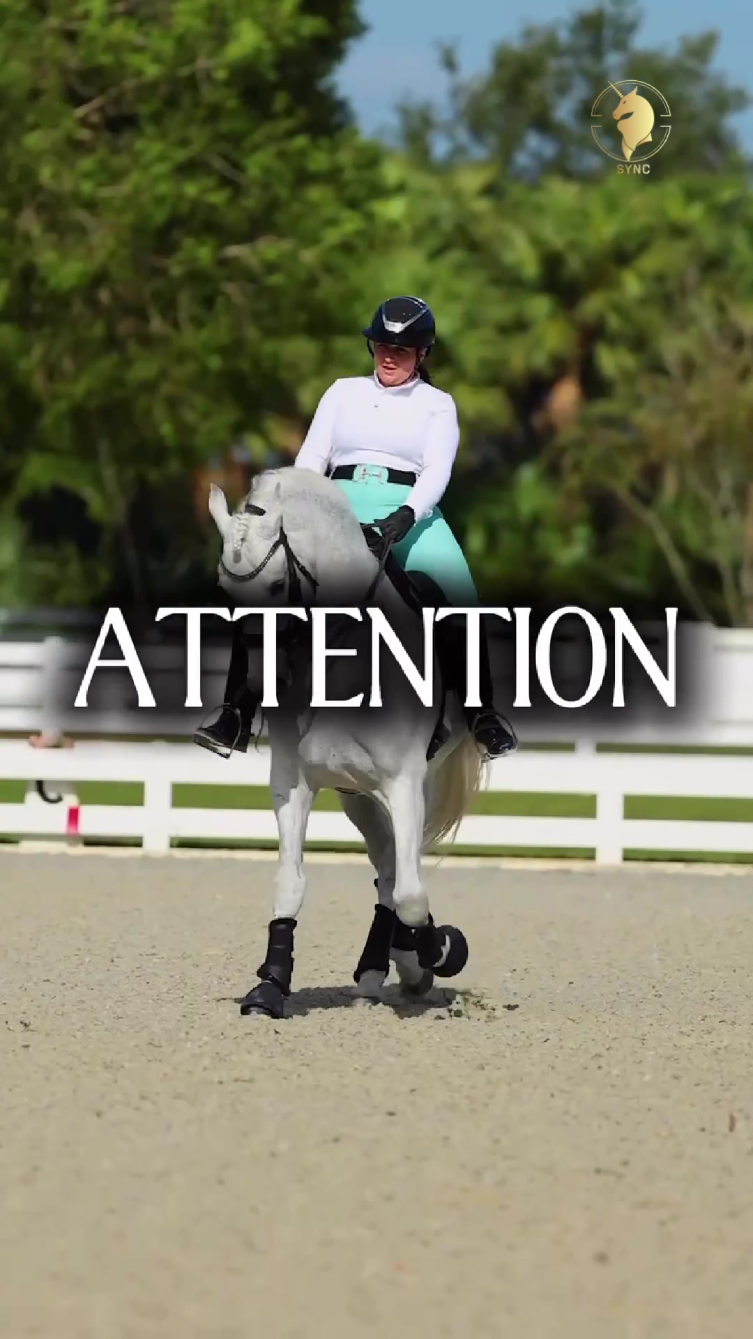 @Sync Equestrian