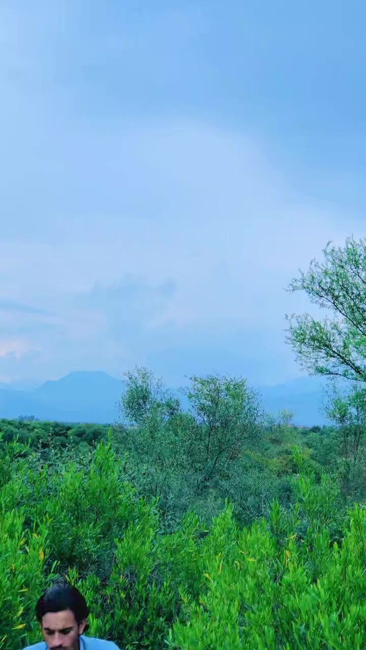 @dawoodkhan