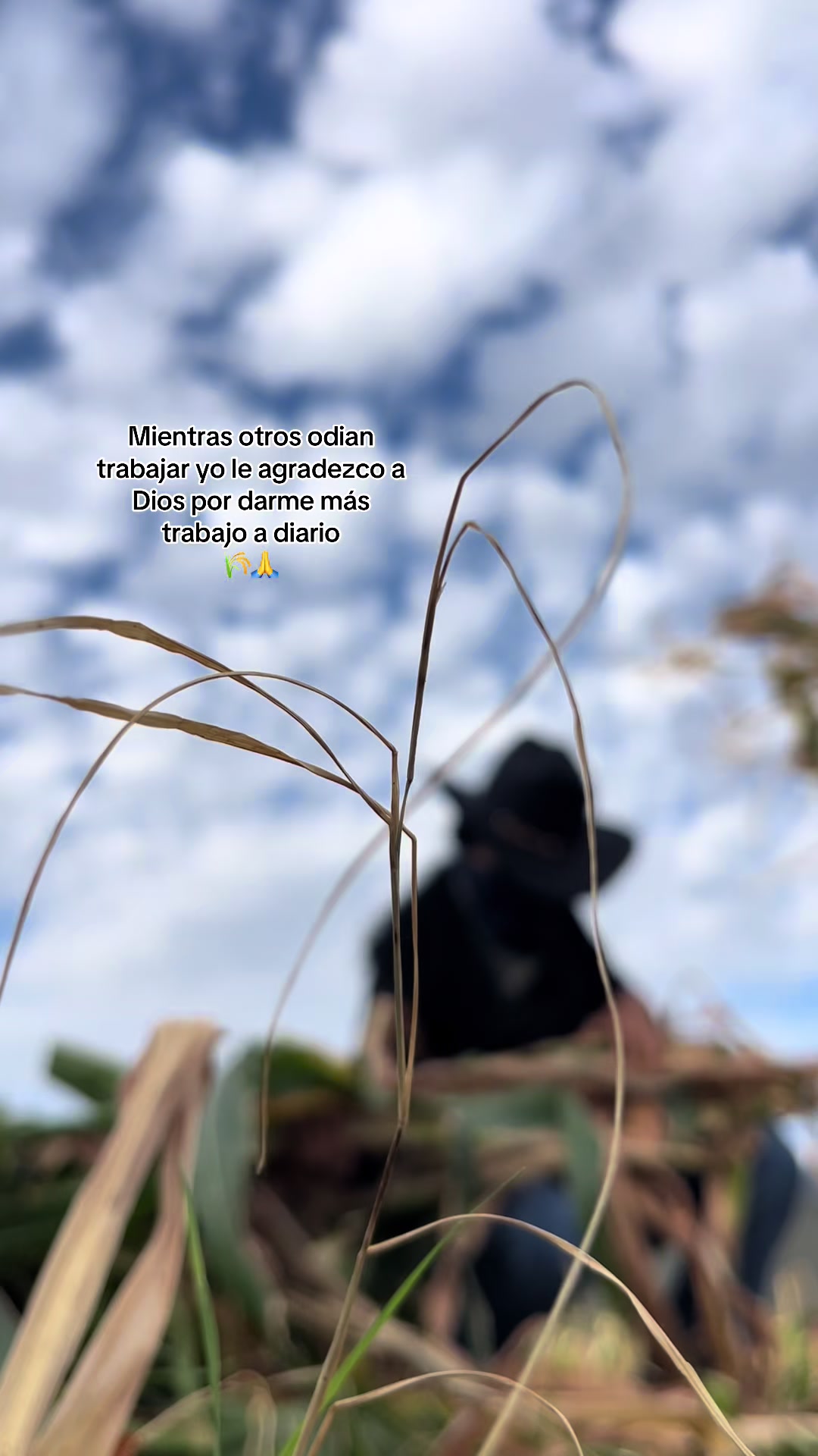 @Lachicadelagro_๐ฉ๐พ๐ฑ