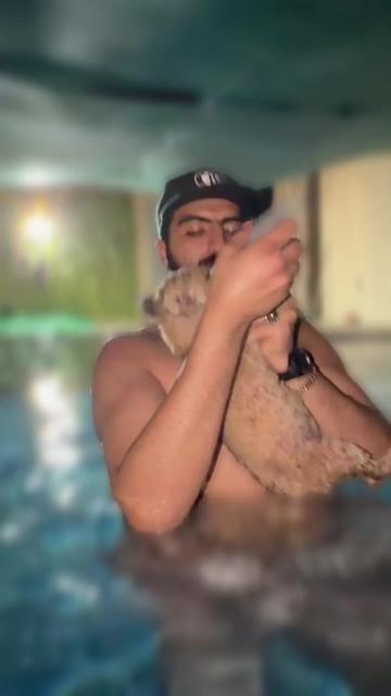 @مؤيد التركي 🐅🐆