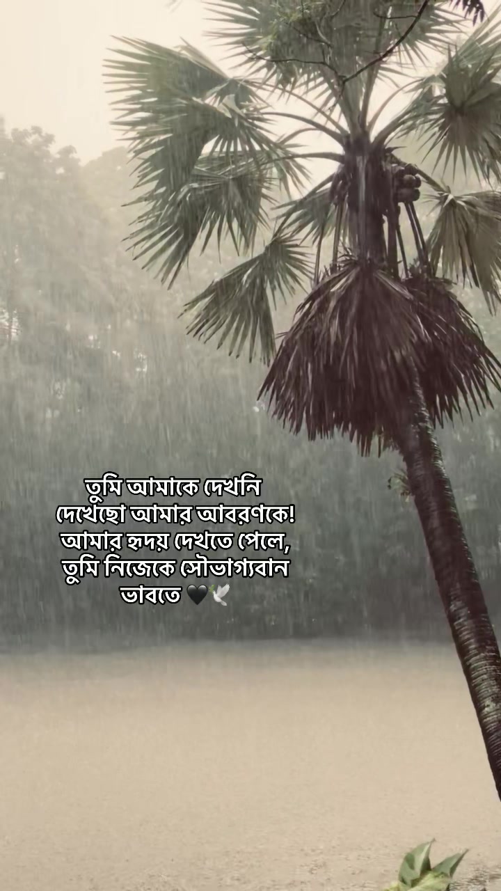 @_নিখোঁজ_