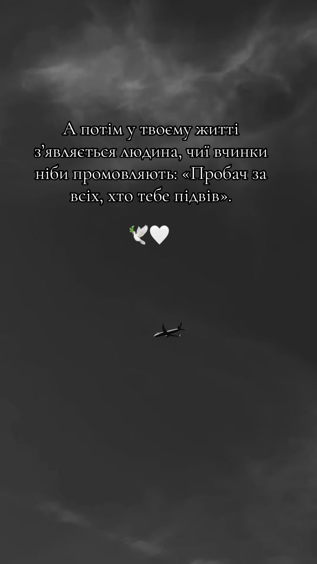 @🕊️🤍