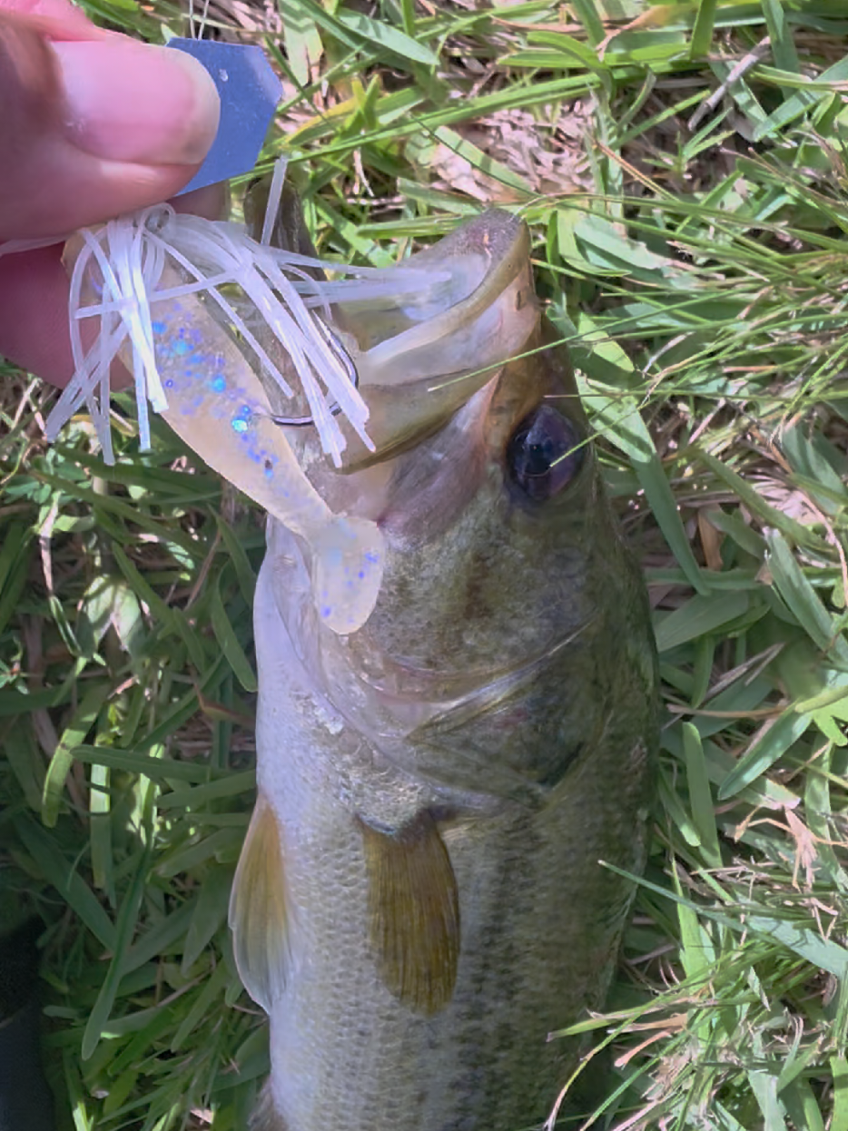 @FishingwithJairo