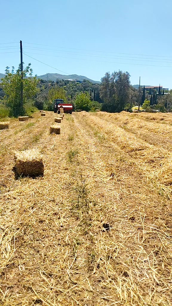 @Abdullah KaymakKAYMAK TARIM🚜