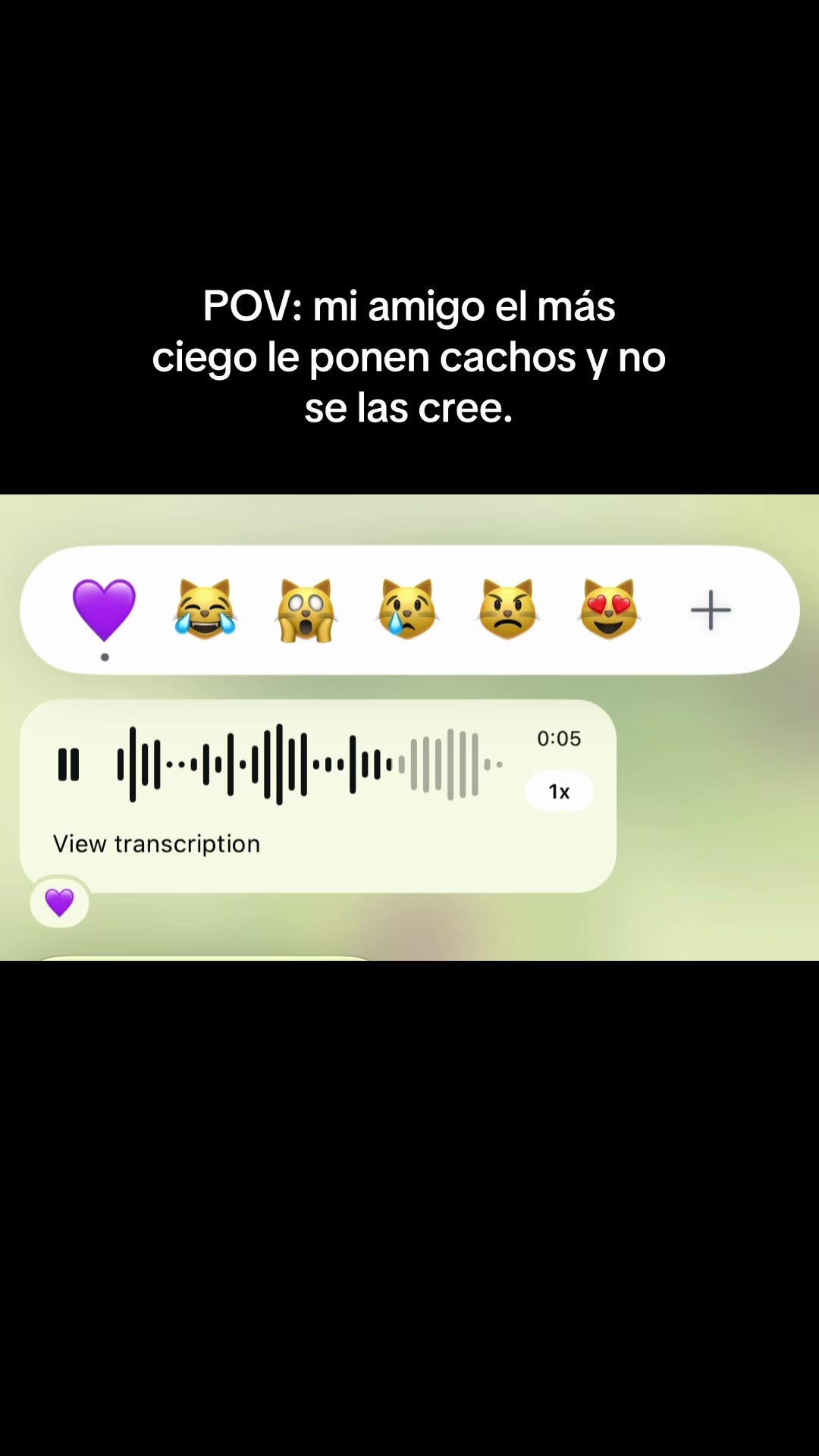 @fer🌷