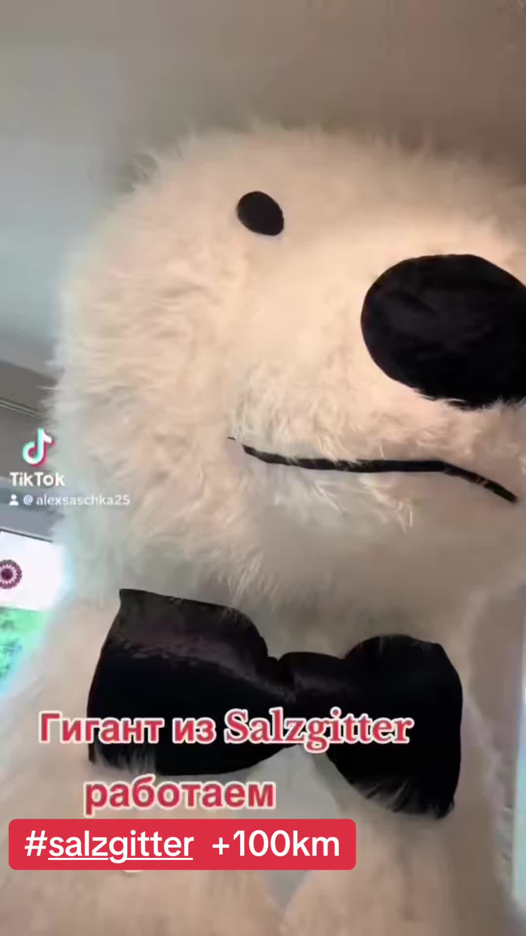 @maskottchensz