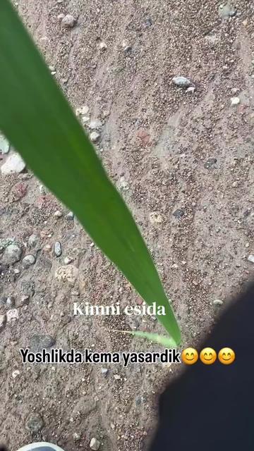 @о2