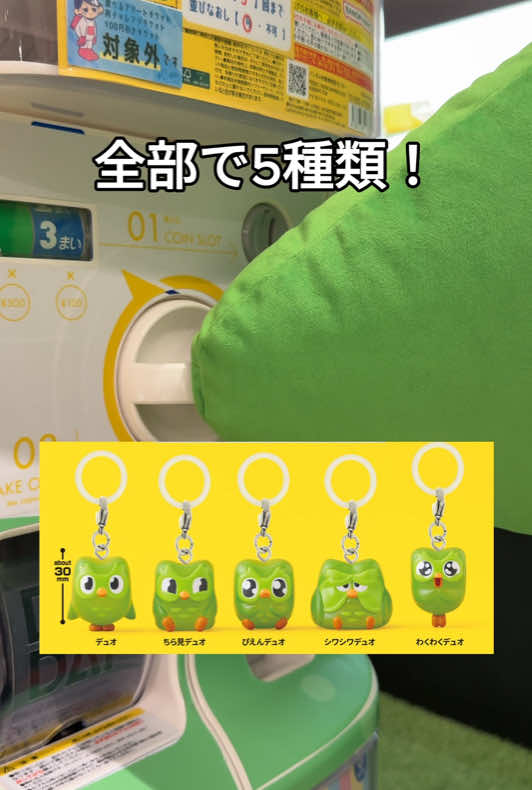 @Duolingo Japanð¯ðµ