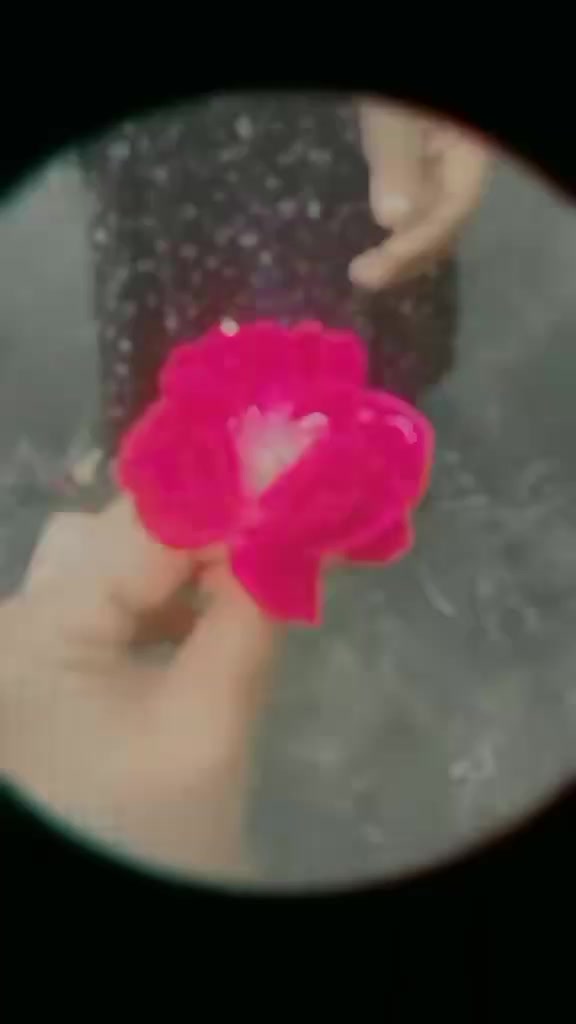 @Tanu 786