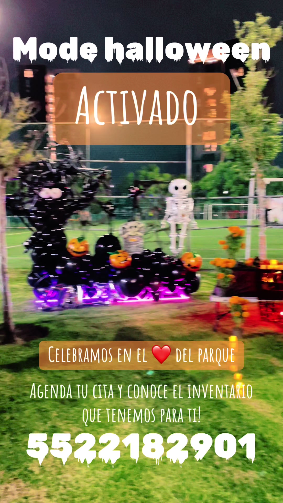 @Altezza Bienes Ra&iacute;ces