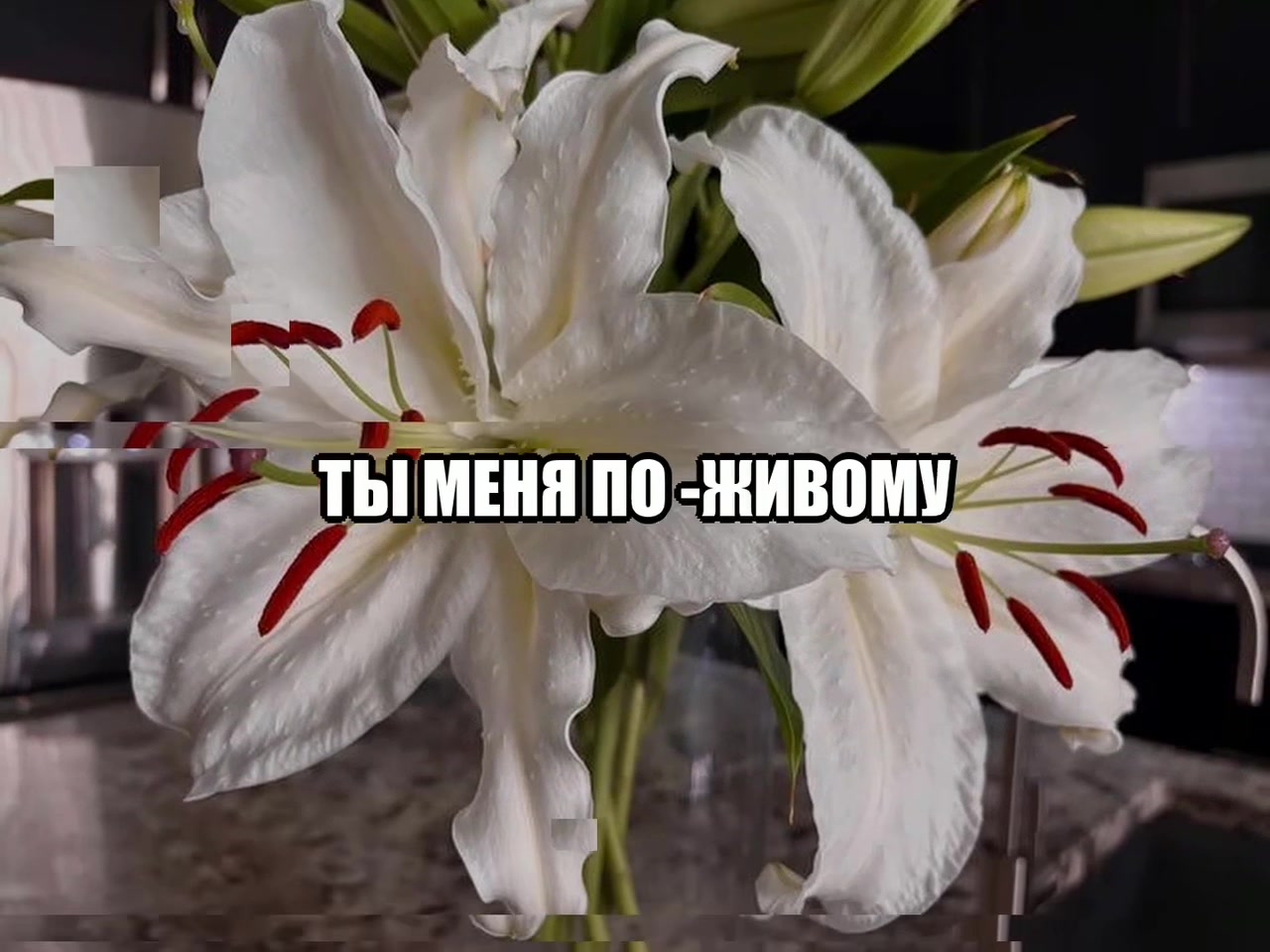 @звуки для липсингов
