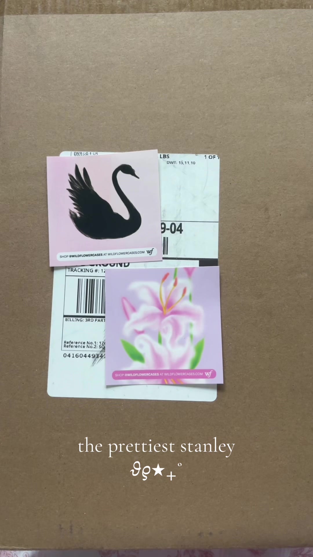 @nat 𐙚⋆