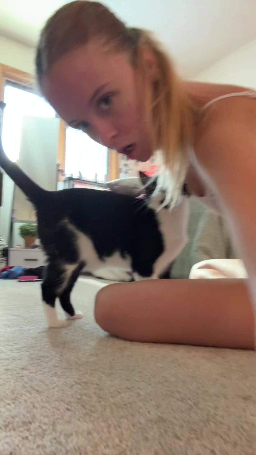 @mollysfarted