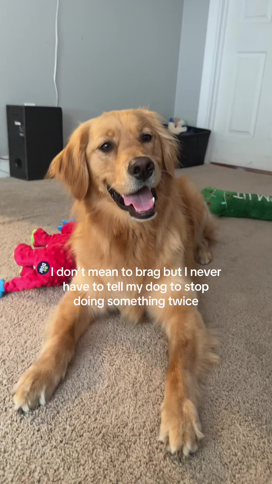 @Cash