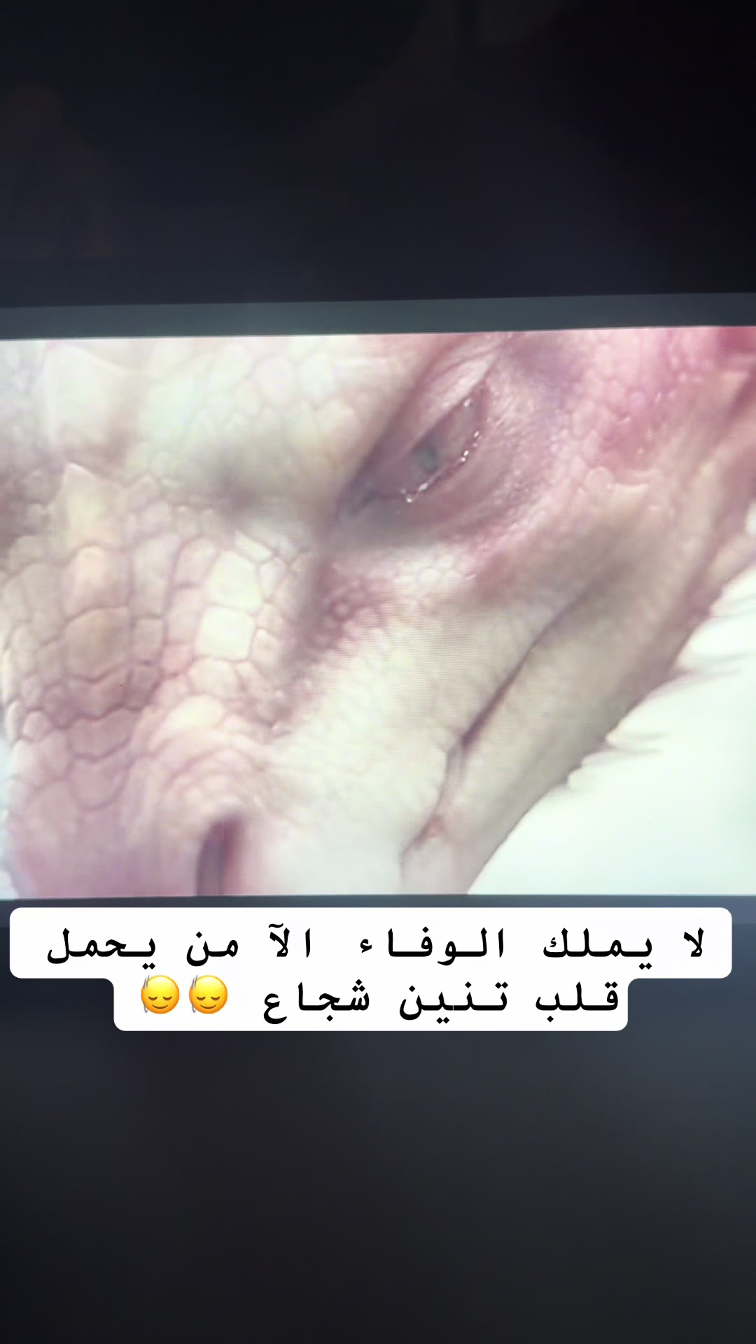 @&hearts;️🇪🇬كوكي هانم 🇸🇦&hearts;️📌