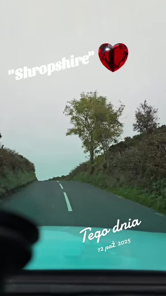 @mariuszmwm