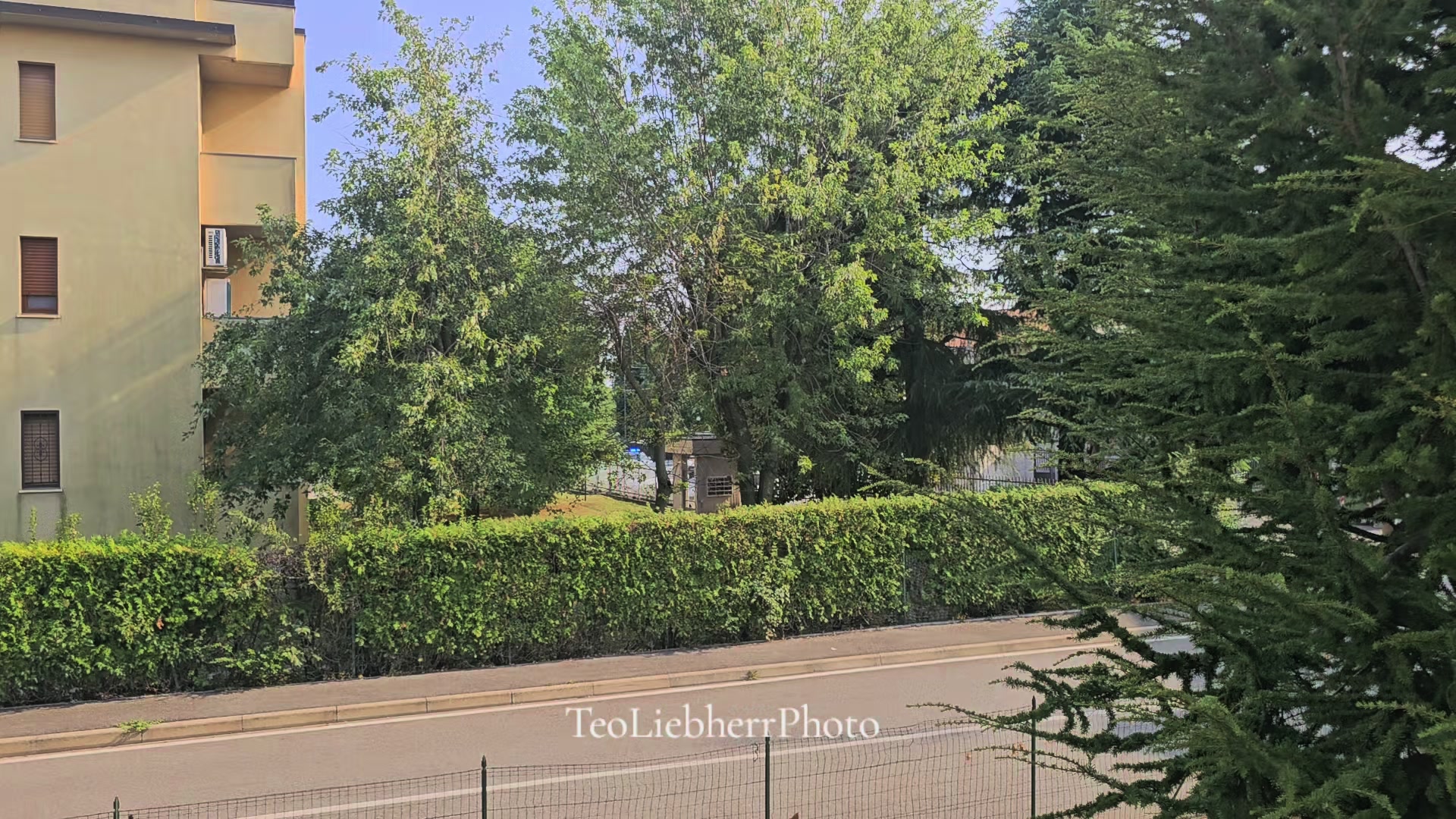@TeoLiebherr