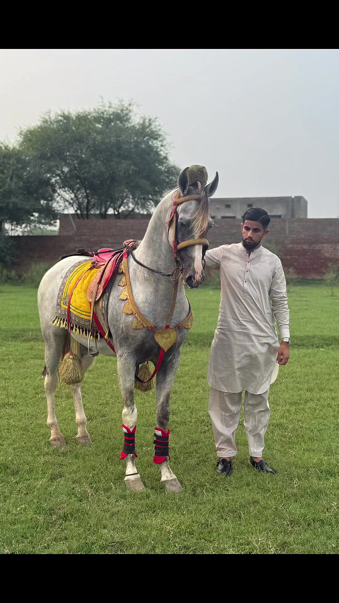 @Ch Naeem