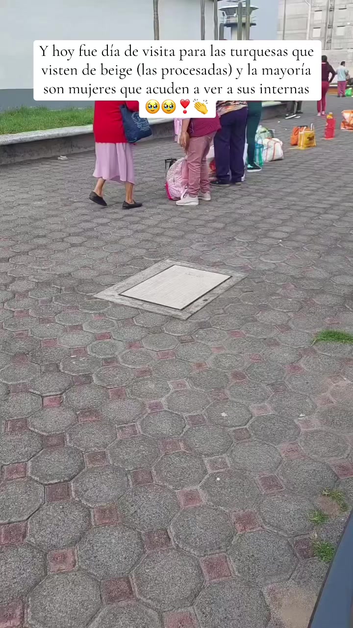 @Reas de turquesa