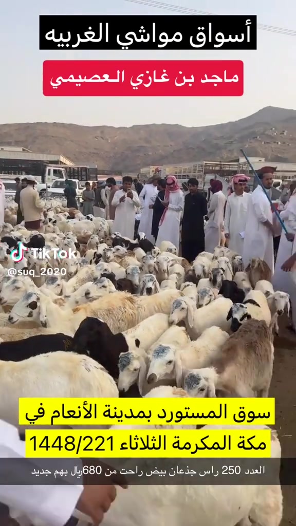 @mohamed_ksa0